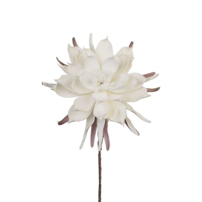 https://www.mayfairhome.gr/